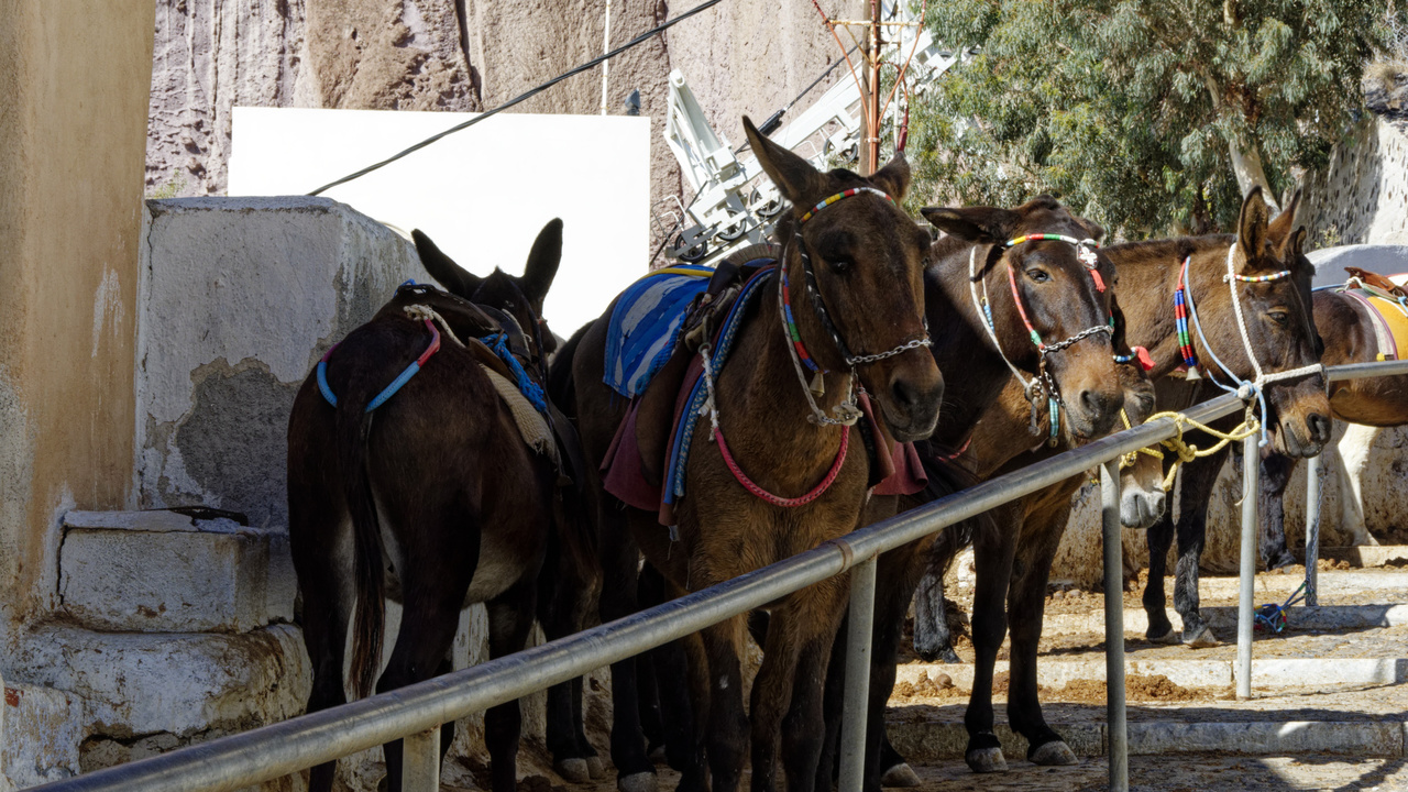 20221031 124115•Ormos Firon•Santorini•Greece
